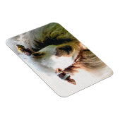 KUSTSCHAPEN MAGNEET (Rechterzijde)