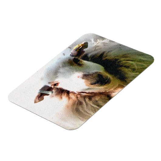 KUSTSCHAPEN MAGNEET (Linkerzijde)