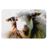 KUSTSCHAPEN MAGNEET (Horizontaal)