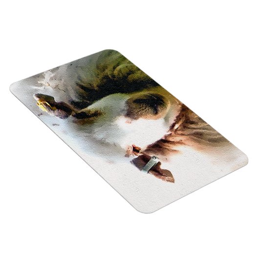 KUSTSCHAPEN MAGNEET (Rechterzijde)