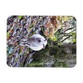 KUSTSCHAPEN MAGNEET (Horizontaal)