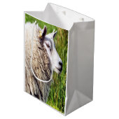 KUSTSCHAPEN MEDIUM CADEAUZAKJE (Voorkant Gekanteld)