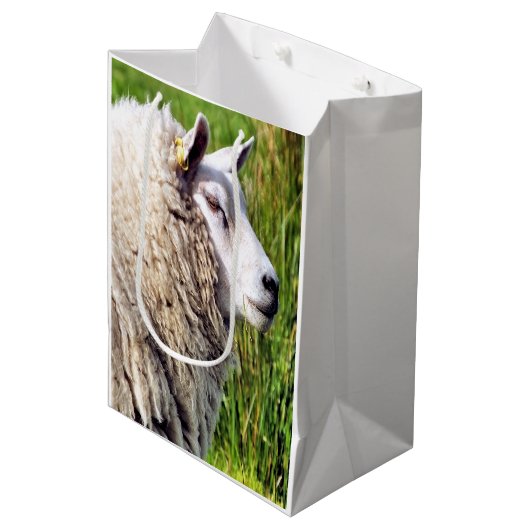 KUSTSCHAPEN MEDIUM CADEAUZAKJE (Voorkant Gekanteld)