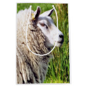 KUSTSCHAPEN MEDIUM CADEAUZAKJE (Voorkant)