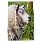 KUSTSCHAPEN MEDIUM CADEAUZAKJE (Achterkant)