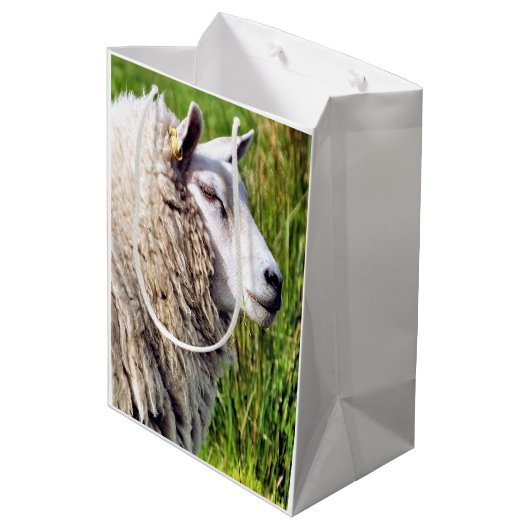 KUSTSCHAPEN MEDIUM CADEAUZAKJE (Achterkant Gekanteld)