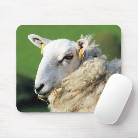 KUSTSCHAPEN MUISMAT (Met muis)