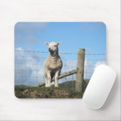 KUSTSCHAPEN MUISMAT (Met muis)