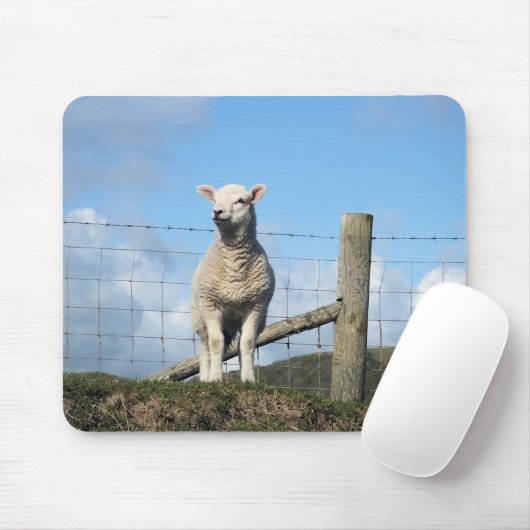 KUSTSCHAPEN MUISMAT (Met muis)