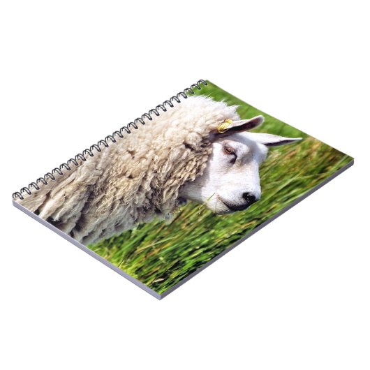 KUSTSCHAPEN NOTITIEBOEK (Linkerzijde)