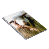 KUSTSCHAPEN NOTITIEBOEK (Rechterzijde)