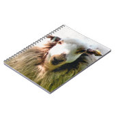 KUSTSCHAPEN NOTITIEBOEK (Linkerzijde)