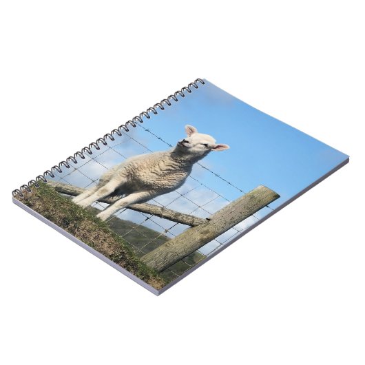 KUSTSCHAPEN NOTITIEBOEK (Linkerzijde)