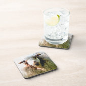 KUSTSCHAPEN ONDERZETTER (Rechterzijde)