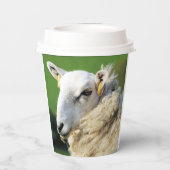 KUSTSCHAPEN PAPIEREN BEKERS (Achterkant)