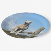 KUSTSCHAPEN PAPIEREN BORDJE (Gekanteld)