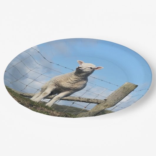 KUSTSCHAPEN PAPIEREN BORDJE (Gekanteld)