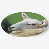 KUSTSCHAPEN PAPIEREN BORDJE (Gekanteld)