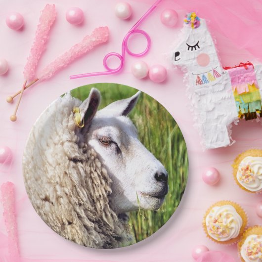 KUSTSCHAPEN PAPIEREN BORDJE (Feest)