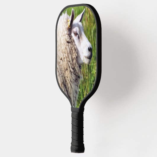 KUSTSCHAPEN PICKLEBALL PADDLE (Links)