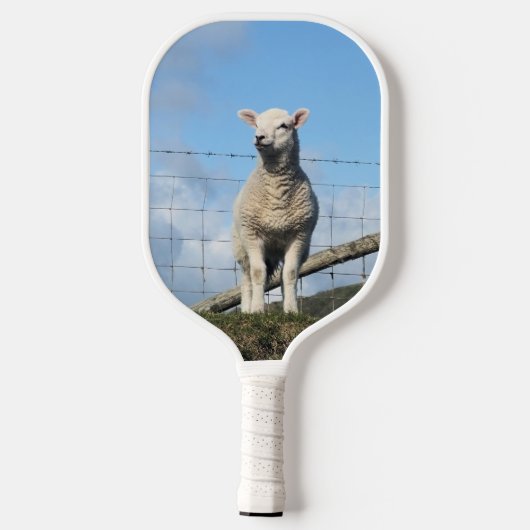 KUSTSCHAPEN PICKLEBALL PADDLE (Achterkant)