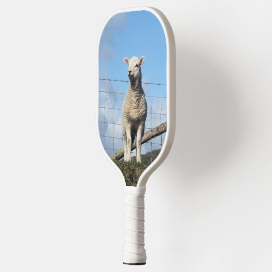 KUSTSCHAPEN PICKLEBALL PADDLE (Links)