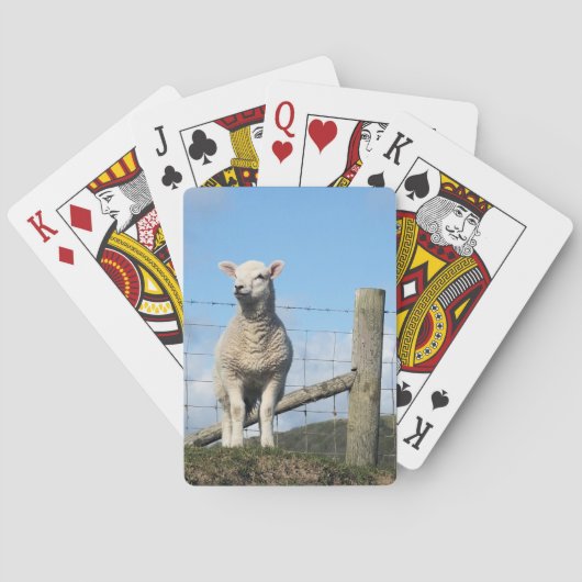 KUSTSCHAPEN POKERKAARTEN (Achterkant)