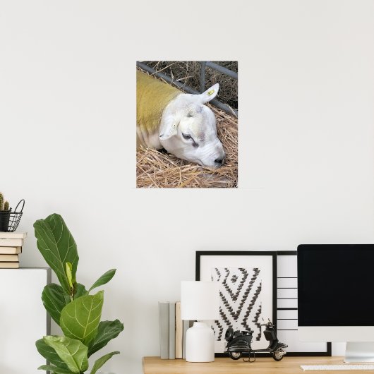 KUSTSCHAPEN POSTER (Thuiskantoor)