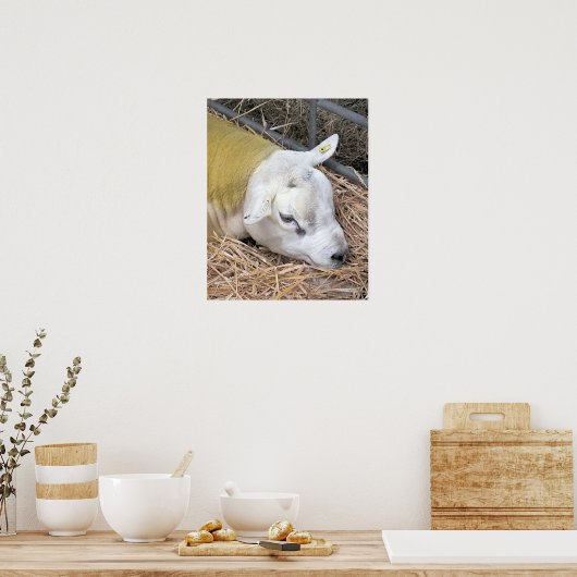 KUSTSCHAPEN POSTER (Keuken)