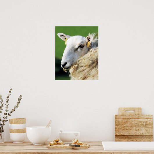 KUSTSCHAPEN POSTER (Keuken)