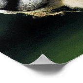 KUSTSCHAPEN POSTER (Hoek)