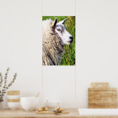 KUSTSCHAPEN POSTER (Keuken)