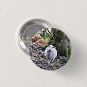 KUSTSCHAPEN RONDE BUTTON 3,2 CM (Voorkant /achterkant)