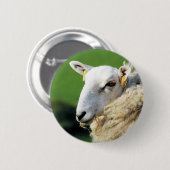 KUSTSCHAPEN RONDE BUTTON 5,7 CM (Voorkant /achterkant)