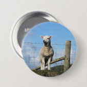 KUSTSCHAPEN RONDE BUTTON 7,6 CM (Voorkant /achterkant)