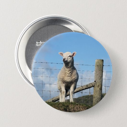 KUSTSCHAPEN RONDE BUTTON 7,6 CM (Voorkant /achterkant)