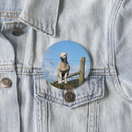 KUSTSCHAPEN RONDE BUTTON 7,6 CM (In situ)