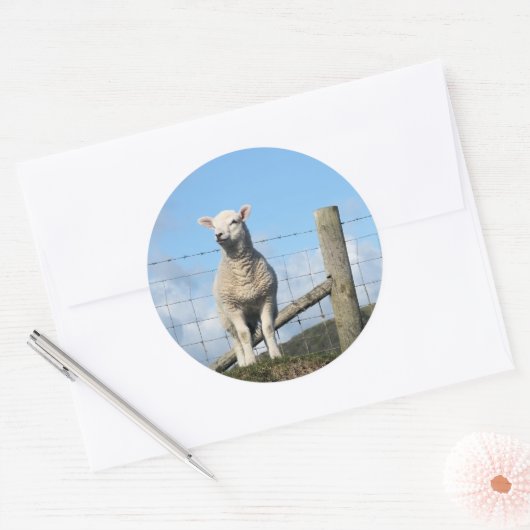 KUSTSCHAPEN RONDE STICKER (Envelop)