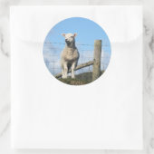 KUSTSCHAPEN RONDE STICKER (Tas)