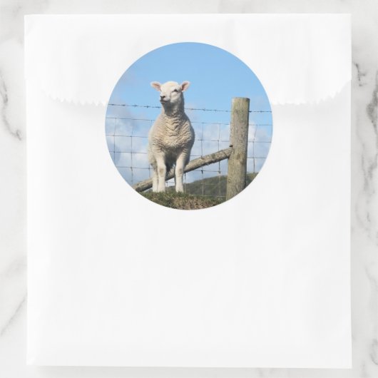 KUSTSCHAPEN RONDE STICKER (Tas)