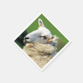 KUSTSCHAPEN SERVET (Hoek)