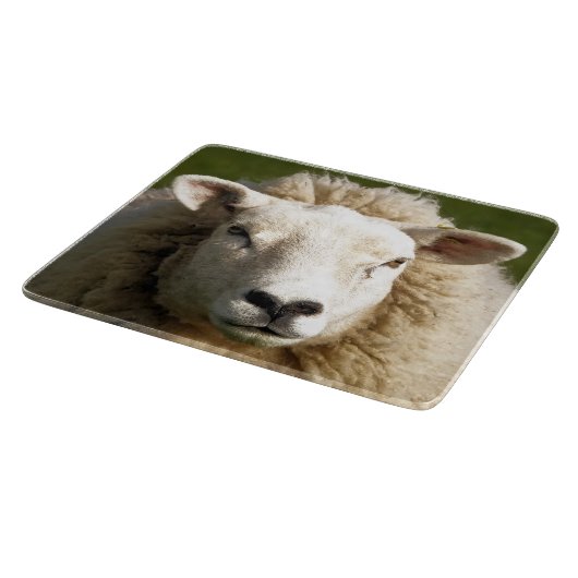 KUSTSCHAPEN SNIJPLANK (Hoek)