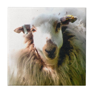 KUSTSCHAPEN TEGELTJE