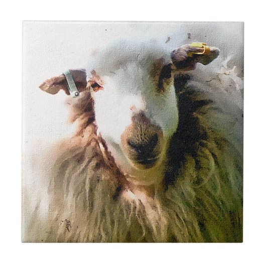 KUSTSCHAPEN TEGELTJE (Voorkant)