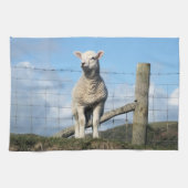 KUSTSCHAPEN THEEDOEK (Horizontaal)