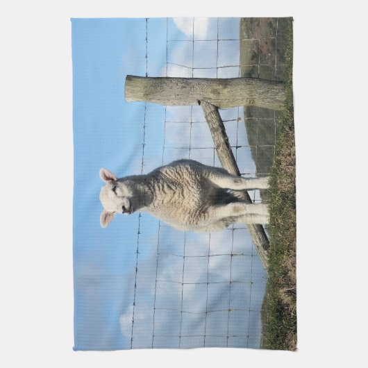 KUSTSCHAPEN THEEDOEK (Verticaal)