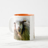 KUSTSCHAPEN TWEEKLEURIGE KOFFIEMOK (Voorkant links)