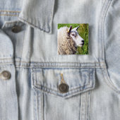 KUSTSCHAPEN VIERKANTE BUTTON 5,1 CM (In situ)