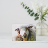 KUSTSCHAPEN VISITEKAARTJE (Staand voorkant)