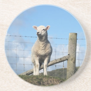KUSTSCHAPEN ZANDSTEEN ONDERZETTER